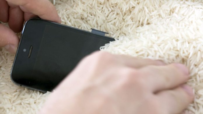 Apple warns about iPhone drying in rice
